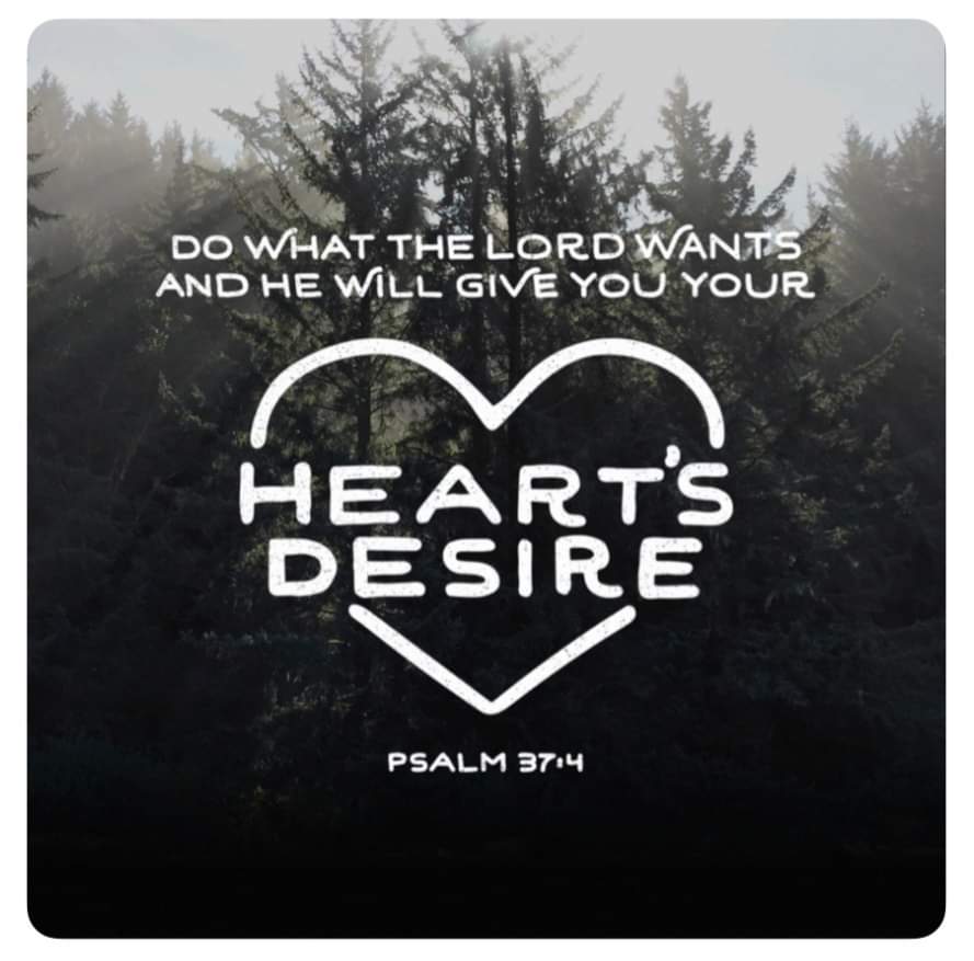 FB_IMG_1697412735837